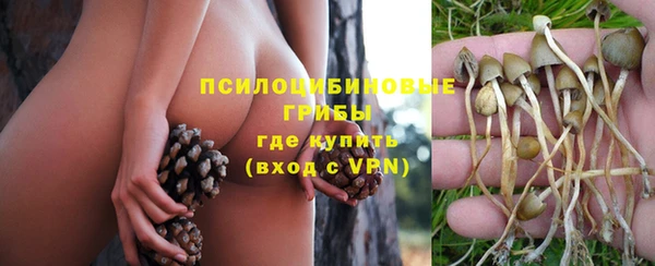 мдпв Беломорск