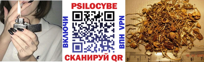 shop Telegram  Яранск  Псилоцибиновые грибы мухоморы 